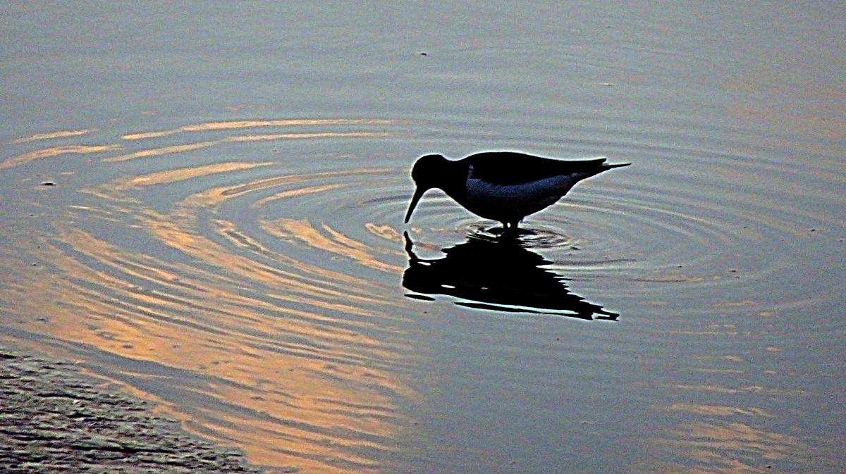 Spiegelung mit Schein